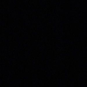 Meet your Posher, Frankie